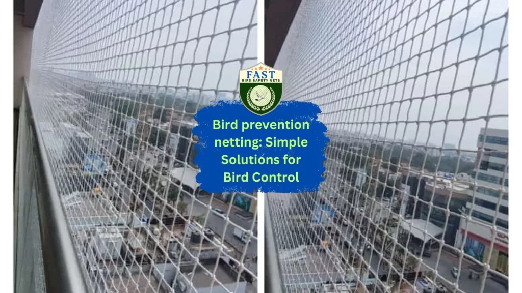 Bird prevention netting: Simple Solutions for Bird Control