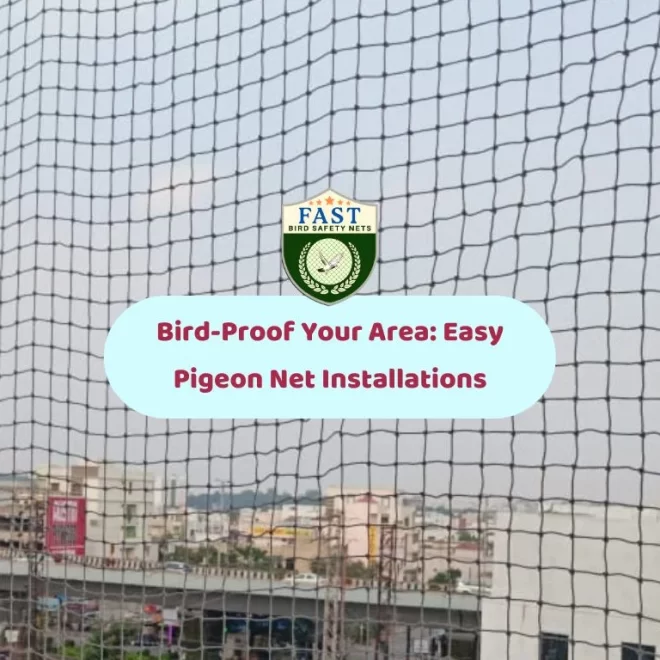 Bird-Proof Your Area: Easy Pigeon Net Installations