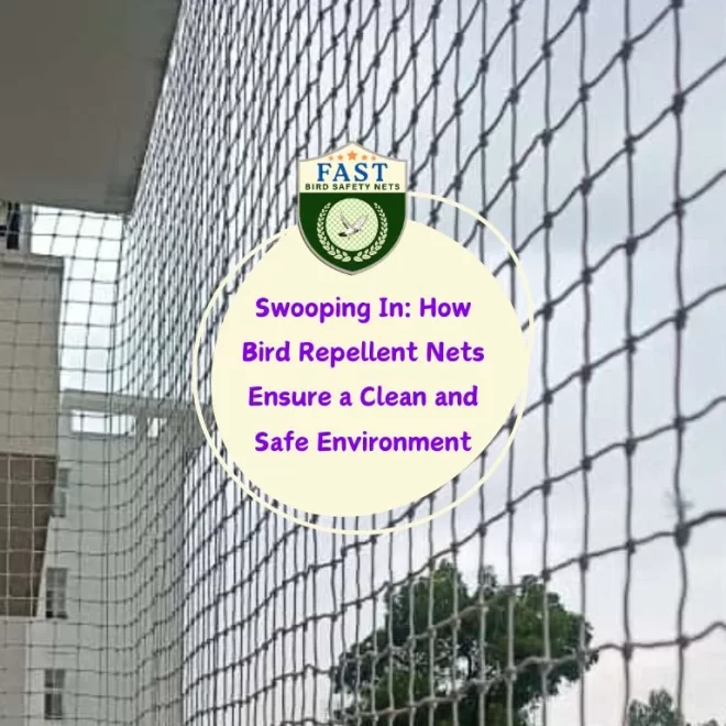 Swooping In: How Bird Repellent Nets Ensure a Clean and Safe Environment