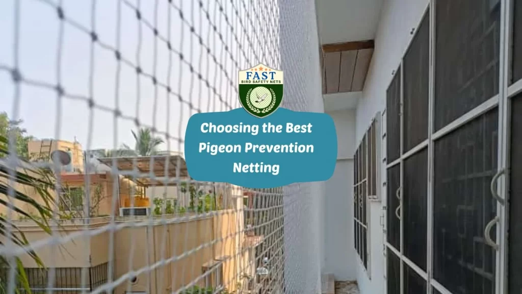 Choosing the Best Pigeon Prevention Netting