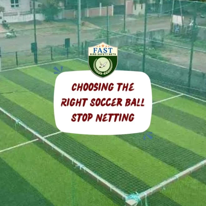Choosing the Right Soccer Ball Stop Netting