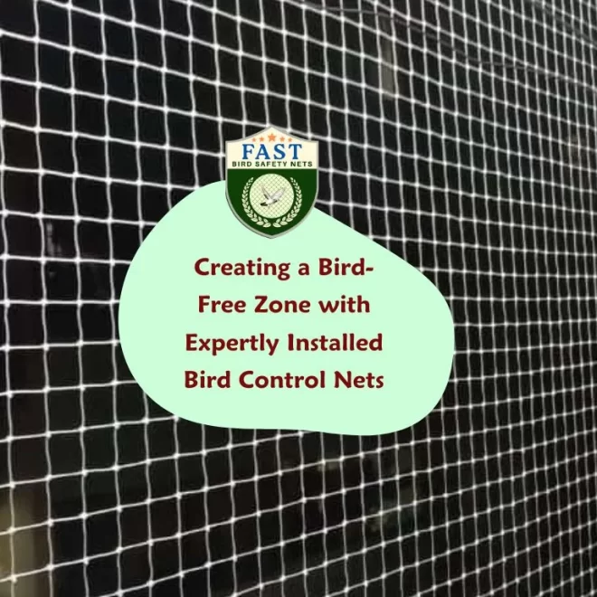 Creating a Bird-Free Zone with Expertly Installed Bird Control Nets