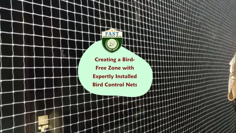 Creating a Bird-Free Zone with Expertly Installed Bird Control Nets