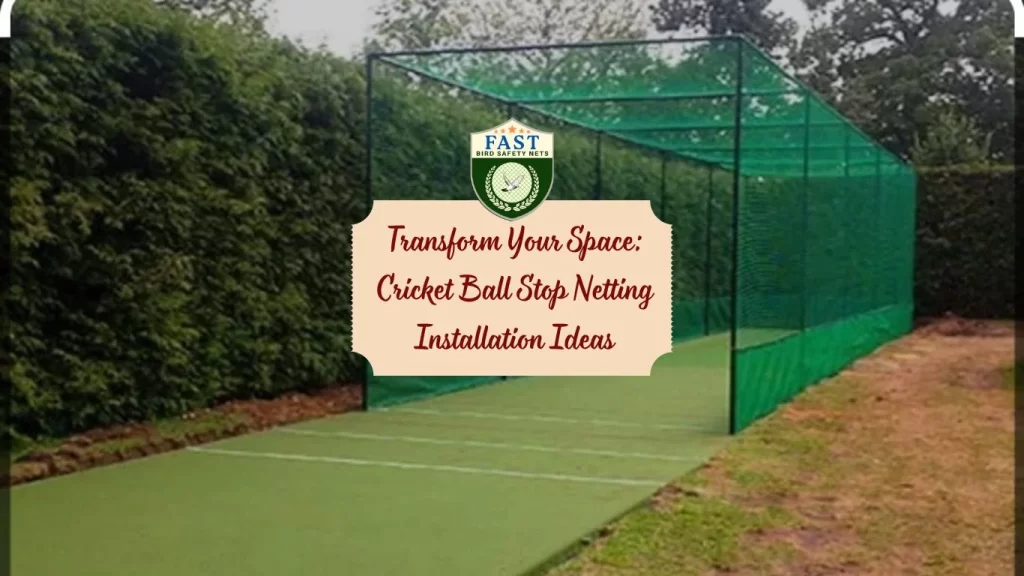 Transform Your Space: Cricket Ball Stop Netting Installation Ideas