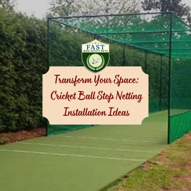 Transform Your Space: Cricket Ball Stop Netting Installation Ideas