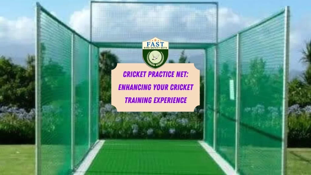 Cricket Practice Net: Enhancing Your Cricket Training Experience