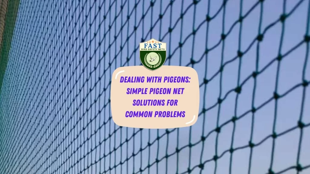 Dealing with Pigeons: Simple Pigeon Net Solutions for Common Problems