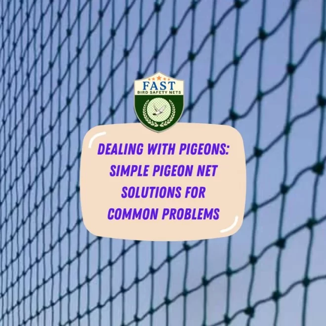 Dealing with Pigeons: Simple Pigeon Net Solution for Common Problems