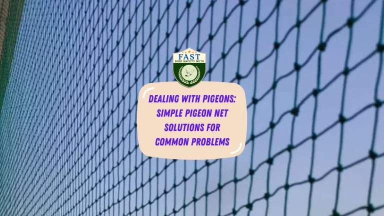 Dealing with Pigeons: Simple Pigeon Net Solution for Common Problems