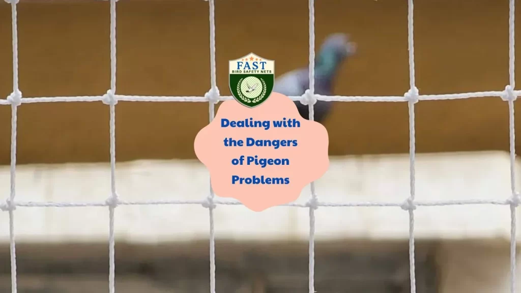 Dealing with the Dangers of Pigeon Problems