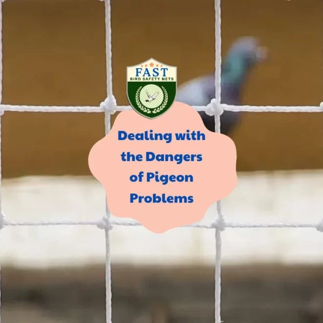 Dealing with the Dangers of Pigeon Problems