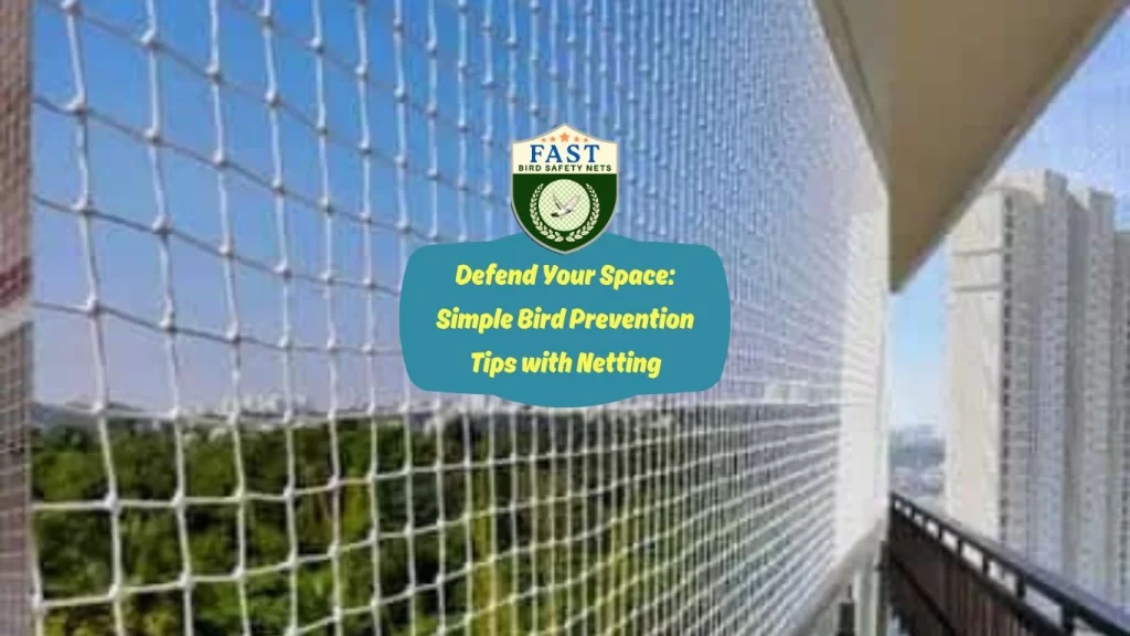 Defend Your Space: Simple Bird Prevention Tips with Netting