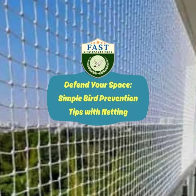 Defend Your Space: Simple Bird Prevention Tips with Netting