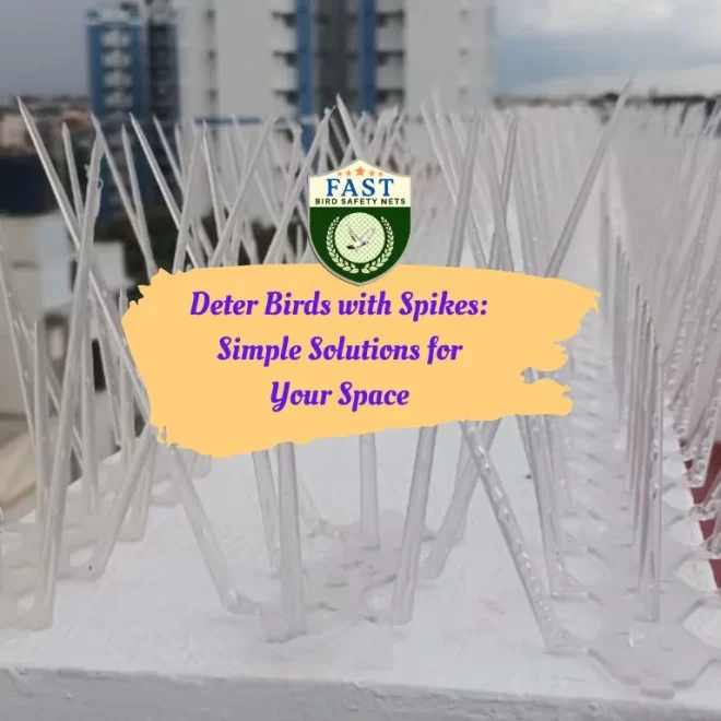 Deter Birds with Spikes: Simple Solutions for Your Space