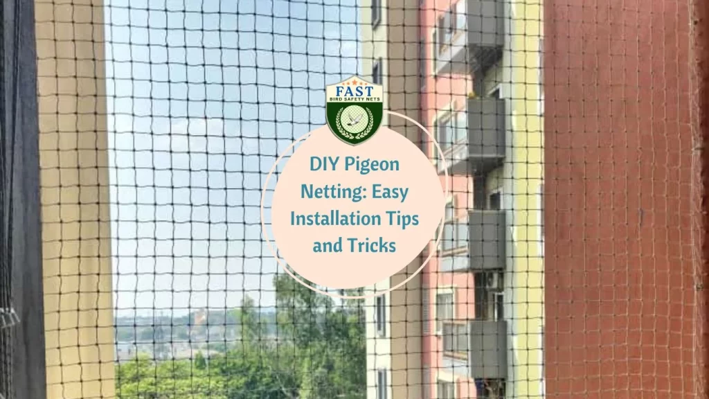 DIY Pigeon Netting: Easy Installation Tips and Tricks