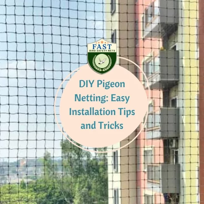 DIY Pigeon Netting: Easy Installation Tips and Tricks