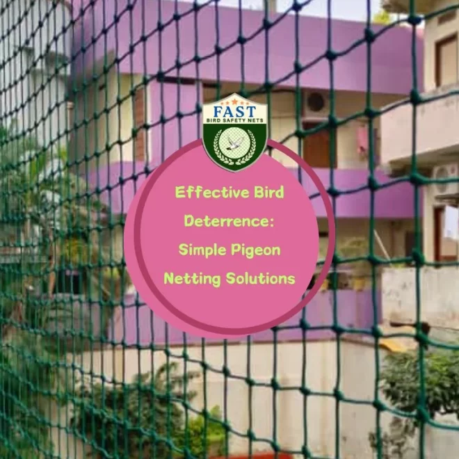Effective Bird Deterrence: Simple Pigeon Netting Solutions