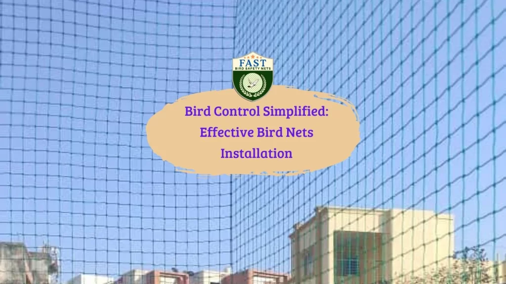 Bird Control Simplified: Effective Bird Nets Installation