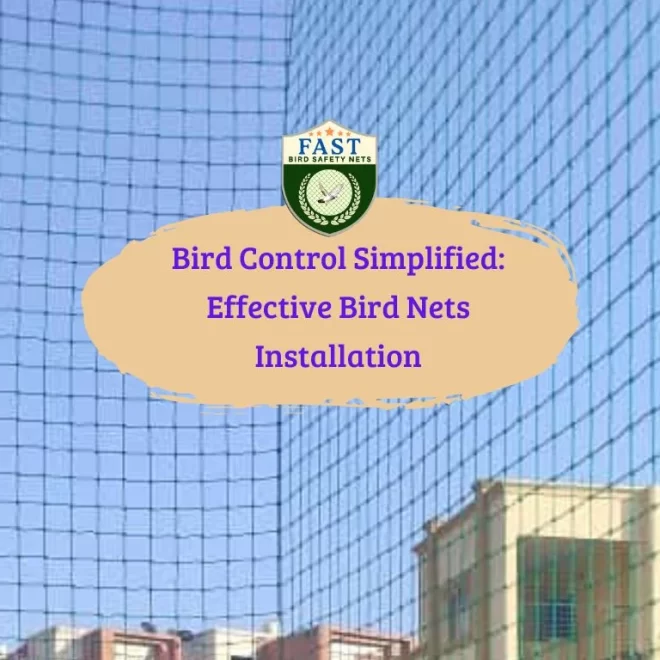 Bird Control Simplified: Effective Bird Nets Installation