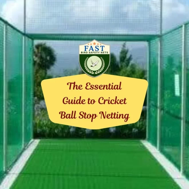 The Essential Guide to Cricket Ball Stop Netting