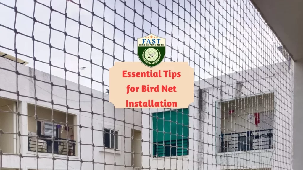 Essential Tips for Bird Net Installation