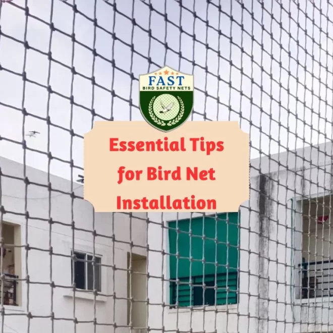 Essential Tips for Bird Net Installation