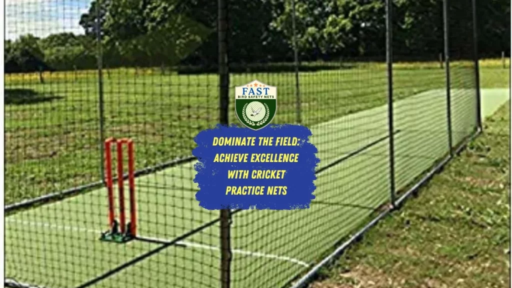 Dominate the Field: Achieve Excellence with Cricket Practice Nets