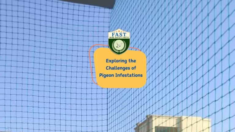 Exploring the Challenges of Pigeon Infestations