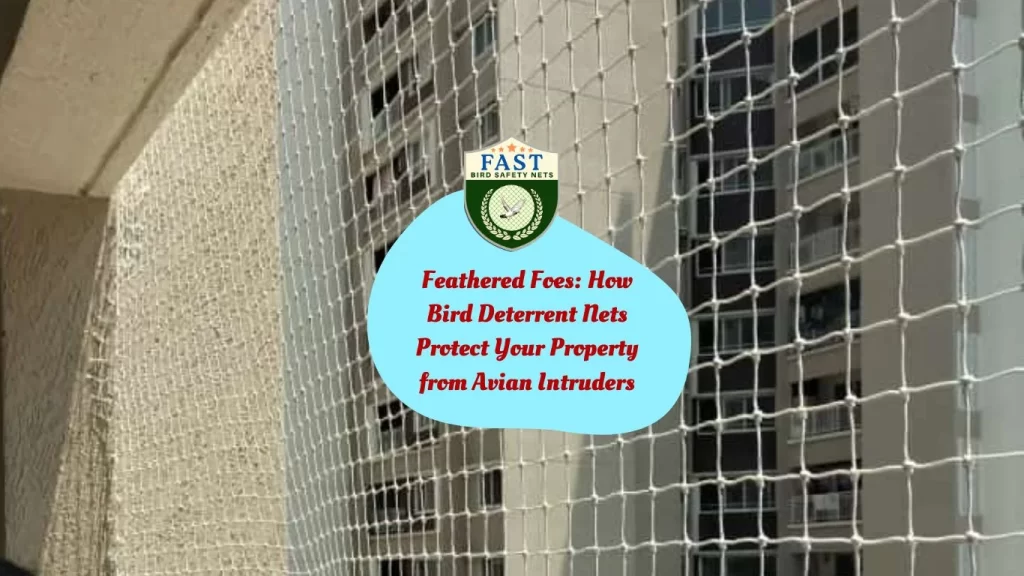 Feathered Foes: How Bird Deterrent Nets Protect Your Property from Avian Intruders