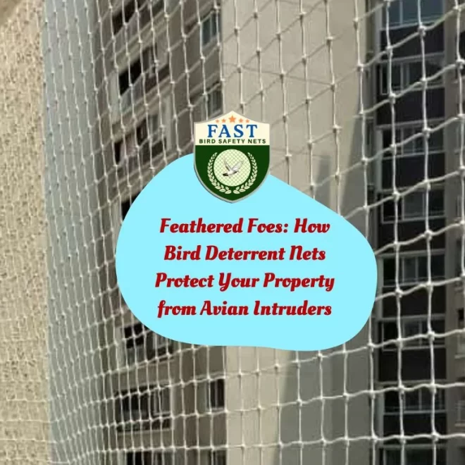 Feathered Foes: How Bird Deterrent Nets Protect Your Property from Avian Intruders