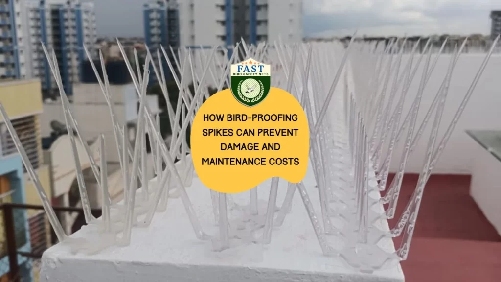 How Bird-Proofing Spikes Can Prevent Damage and Maintenance Costs