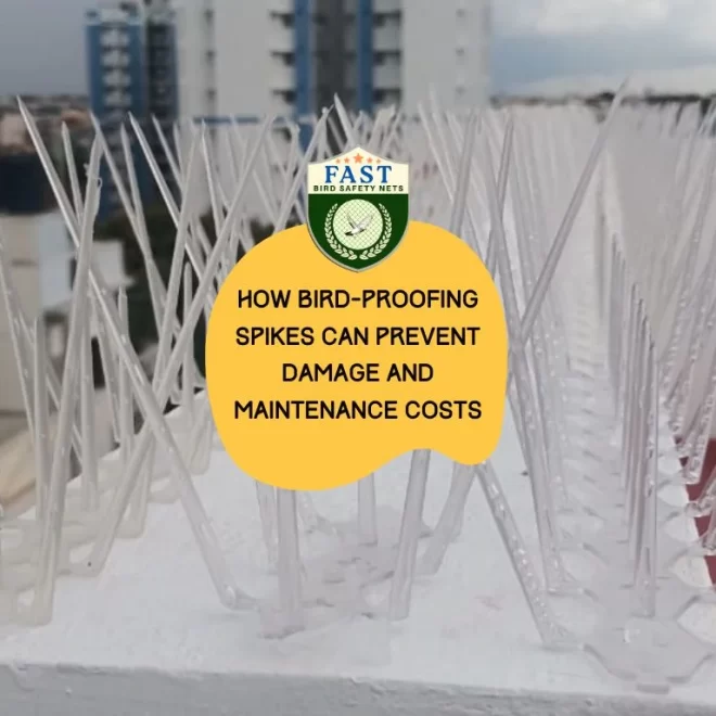 How Bird-Proofing Spikes Can Prevent Damage and Maintenance Costs