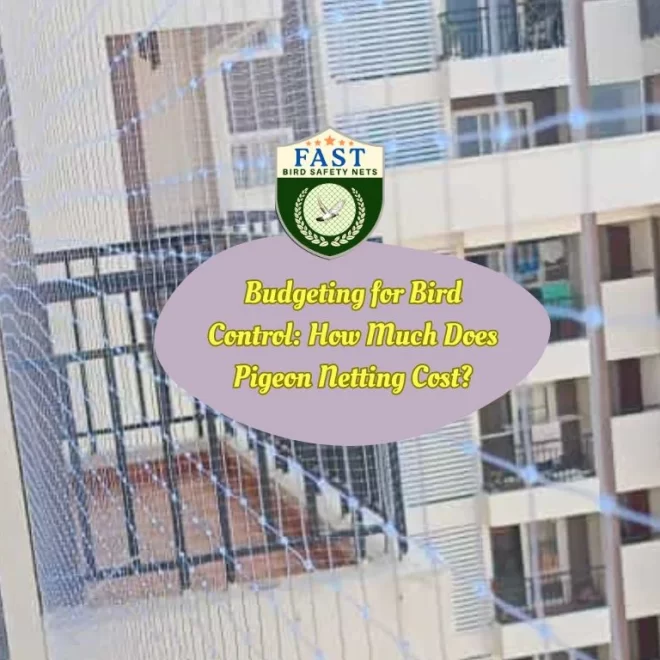 Budgeting for Bird Control: How Much Does Pigeon Netting Cost?