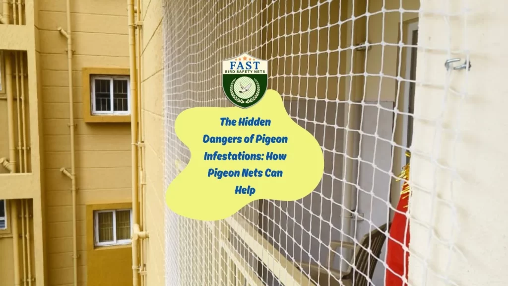 The Hidden Dangers of Pigeon Infestations: How Pigeon Nets Can Help