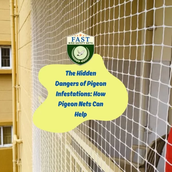 The Hidden Dangers of Pigeon Infestations: How Pigeon Nets Can Help