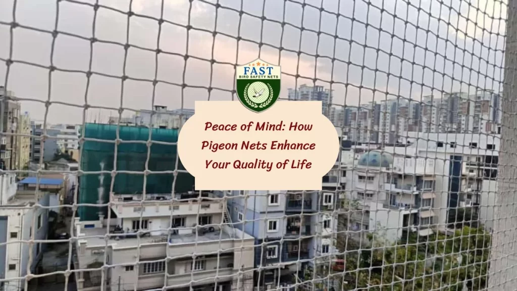 Peace of Mind: How Pigeon Nets Enhance Your Quality of Life