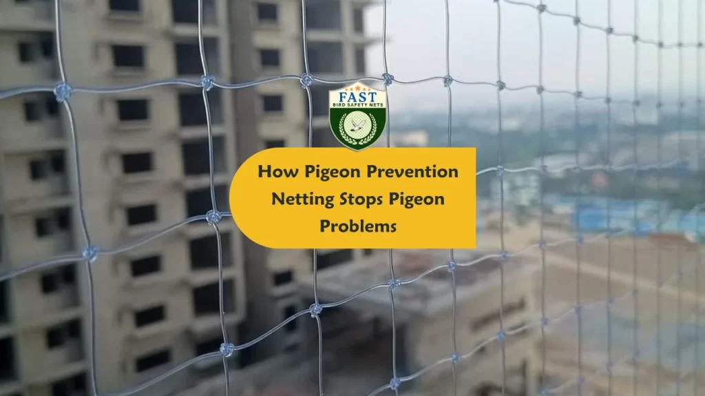 How Pigeon Prevention Netting Stops Pigeon Problems