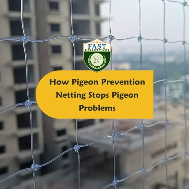 How Pigeon Prevention Netting Stops Pigeon Problems