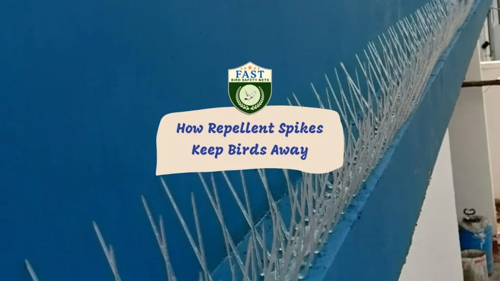 How Repellent Spikes Keep Birds Away