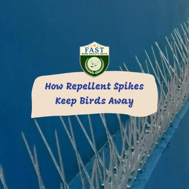 How Repellent Spikes Keep Birds Away