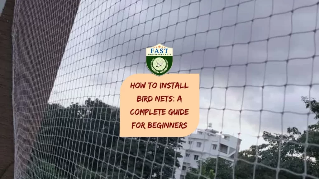 How to Install Bird Nets: A Complete Guide for Beginners