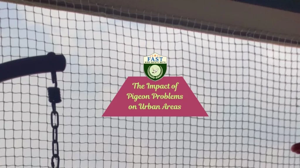 The Impact of Pigeon Problems on Urban Areas