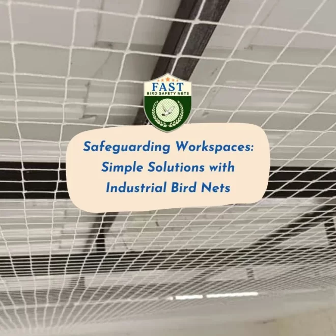 Safeguarding Workspaces: Simple Solutions with Industrial Bird Nets