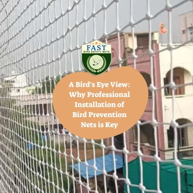 A Bird’s Eye View: Why Professional Installation of Bird Prevention Nets is Key