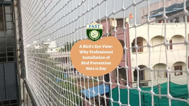A Bird’s Eye View: Why Professional Installation of Bird Prevention Nets is Key