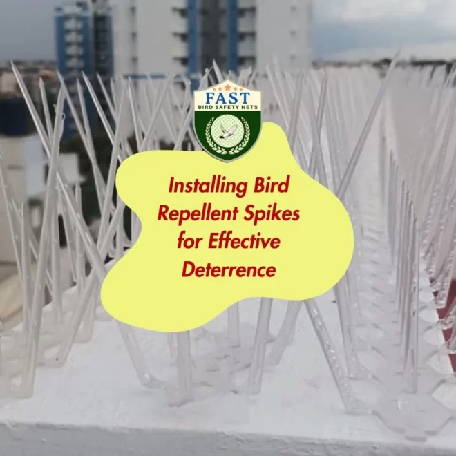 Installing Bird Repellent Spikes for Effective Deterrence