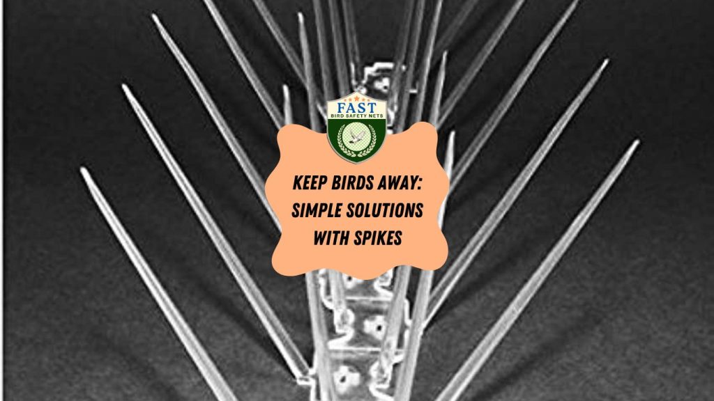 Keep Birds Away: Simple Solutions with Spikes