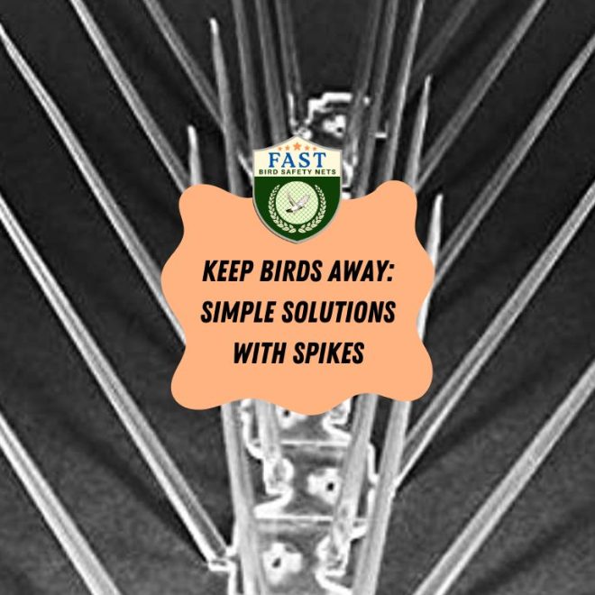 Keep Birds Away: Simple Solutions with Spikes