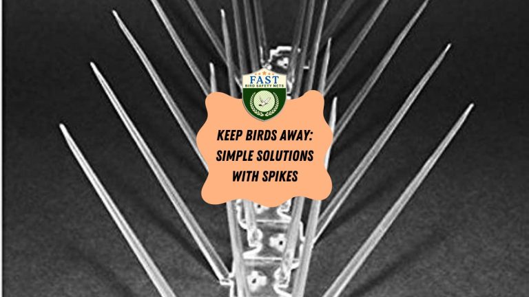 Keep Birds Away: Simple Solutions with Spikes