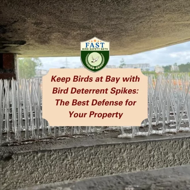 Keep Birds at Bay with Bird Deterrent Spike: The Best Defense for Your Property
